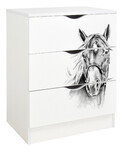 Casettiera Roma bianca in legno con cassetti - motivo Ritratto di Cavallo 